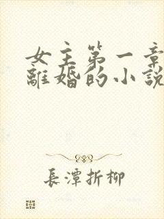 女主第一章就提离婚的小说