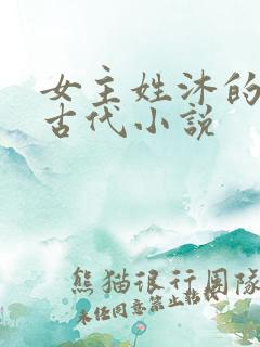 女主姓沐的重生古代小说