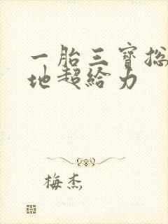 一胎三宝总裁爹地超给力