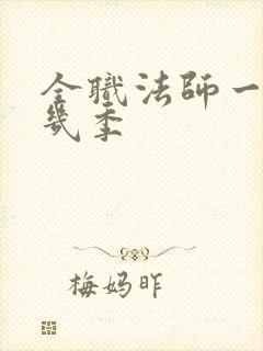 全职法师一共有几季