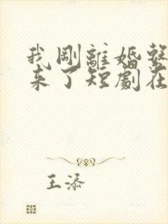 我刚离婚系统就来了短剧在线观看