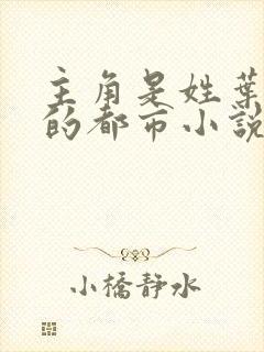 主角是姓叶神医的都市小说