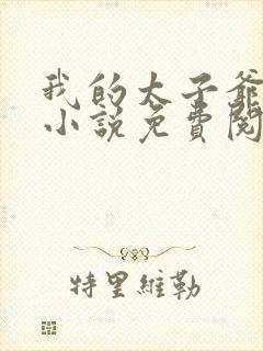 我的太子爷奴仆小说免费阅读