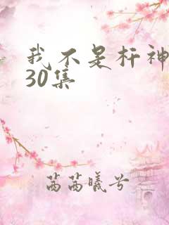 我不是杆神锤锤30集