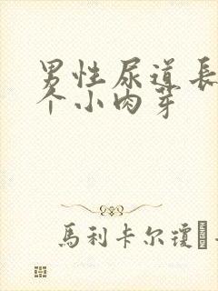 男性尿道长了两个小肉芽