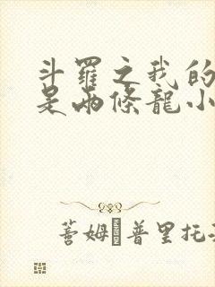 斗罗之我的武魂是两条龙小说