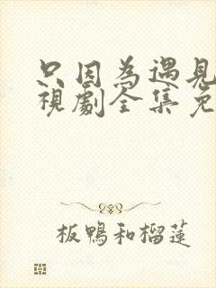 只因为遇见你电视剧全集免费观看56