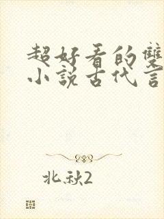 超好看的双男主小说古代言情