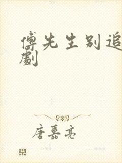 傅先生别追了短剧