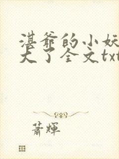 湛爷的小妖精长大了全文txt下载