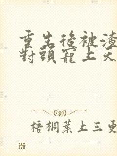 重生后被渣男死对头宠上天完本