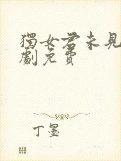 独女君未见电视剧免费