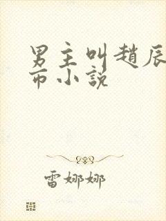 男主叫赵辰的都市小说