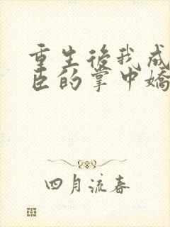 重生后我成了权臣的掌中娇看