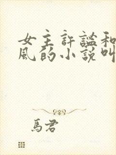 女主许谧和沈聿风的小说叫什么