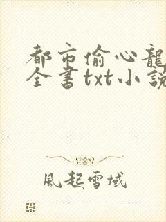 都市偷心龙爪手全书txt小说下载