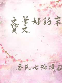 文笔好的末世囤货文