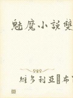 魅魔小说双男主