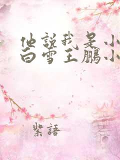 他说我是小妖精白雪王鹏小说