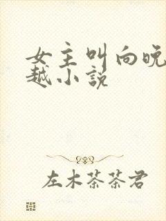 女主叫向晚的穿越小说