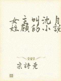 女主叫沈月男主姓顾的小说