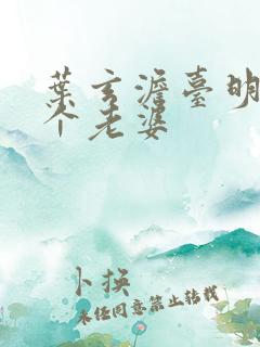 叶玄澹台明月几个老婆