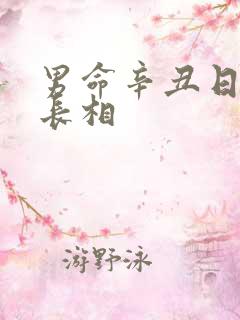 男命辛丑日妻子长相