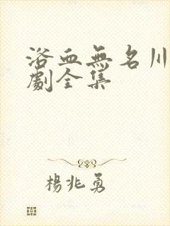 浴血无名川电视剧全集