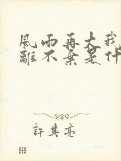 风雨再大我也不离不弃是什么歌