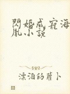 闪婚成宠海彤战胤小说