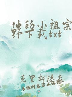 他的小祖宗甜又野下载txt