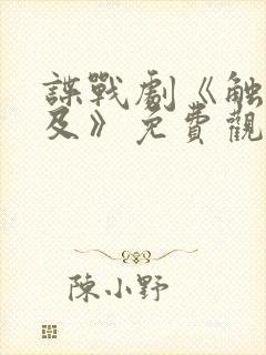 谍战剧《触不可及》免费观看