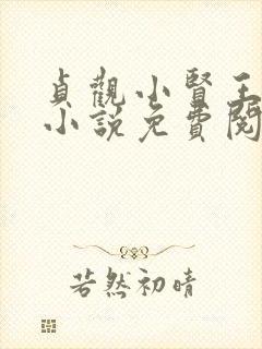 贞观小贤王李慎小说免费阅读