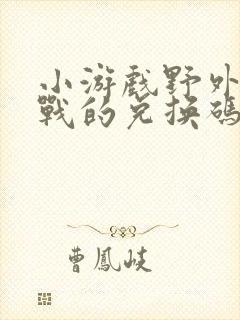 小游戏野外冲击战的兑换码