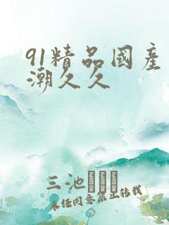 91精品国产高潮久久