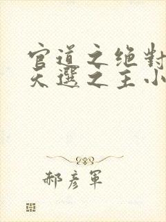 官道之绝对权力天选之主小说完本