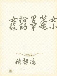 女扮男装女主姓苏的穿越小说