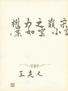 权力之巅宋思铭,叶如云 小说