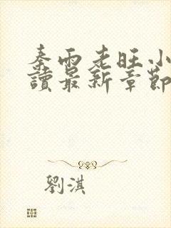 秦雨老旺小说阅读最新章节