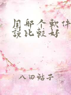 用哪个软件写小说比较好