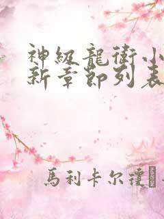 神级龙卫小说最新章节列表列表