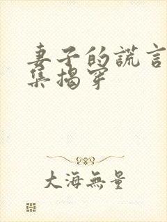 妻子的谎言多少集揭穿