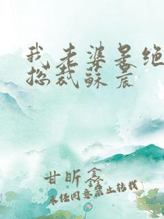 我老婆是绝色女总裁苏晨