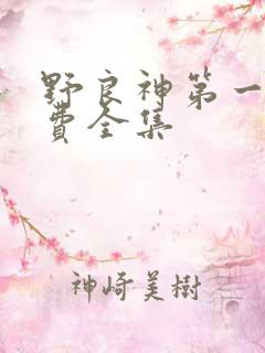 野良神第一季免费全集