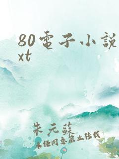 80电子小说txt