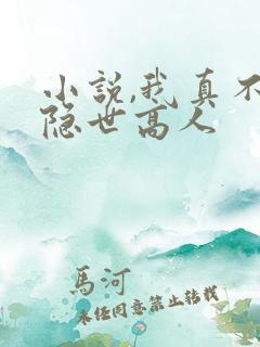 小说,我真不是隐世高人