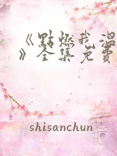 《点燃我温暖你》全集免费观看