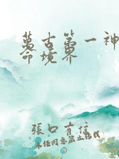 万古第一神李天命境界