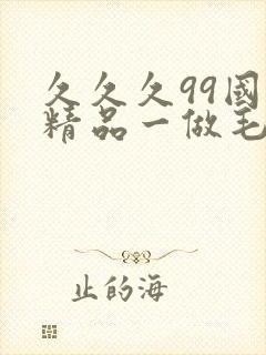 久久久99国产精品一做毛片