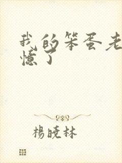 我的笨蛋老婆失忆了